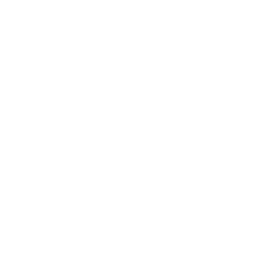 Void Logo